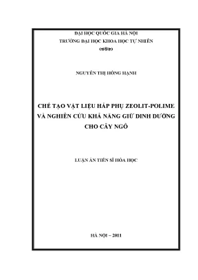 Luận án tiến sĩ hus chế tạo vật liệu hấp phụ zeolit polime và nghiên cứu khả năng giữ dinh dưỡng cho cây ngô