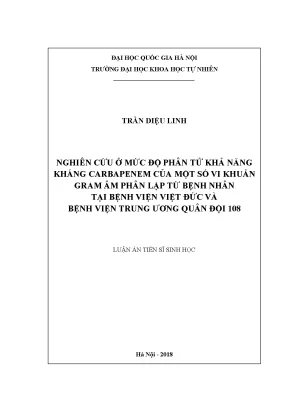 Luận án tiến sĩ hus nghiên cứu ở mức độ phân tử khả năng kháng carbapenem của một số vi khuẩn gram âm phân lập từ bệnh nhân tại bệnh viện việt đức và bệnh viện trung ương quân đội 108