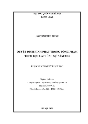 Luận văn thạc sĩ vnu ls quyết định hình phạt trong đồng phạm theo bộ luật hình sự việt nam năm 2015