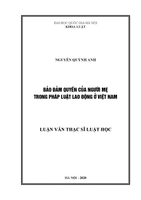 Luận văn thạc sĩ vnu ls bảo đảm quyền của người mẹ trong pháp luật lao động ở việt nam