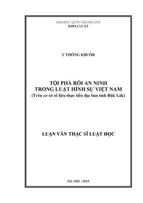 Luận văn thạc sĩ vnu ls tội phá rối an ninh trong luật hình sự việt nam trên cơ sở số liệu thực tiễn địa bàn tỉnh đắk lắk