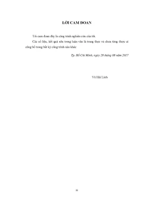Luận văn thạc sĩ nghiên cứu đề xuất giải pháp kiểm tra độ mòn bồn chứa xăng dầu bằng kỹ thuật siêu âm