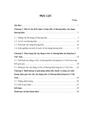 Luận văn thạc sĩ xây dựng và bảo vệ thương hiệu của hàng hoá ở việt nam