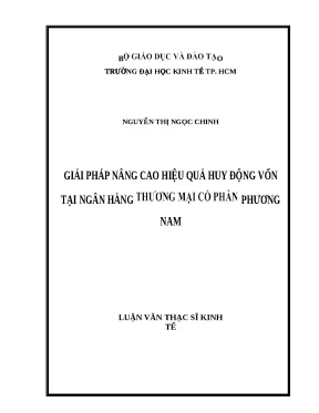 Luận văn thạc sĩ file word giải pháp nâng cao hiệu quả huy động vốn tại ngân hàng thương mại cổ phần phương nam