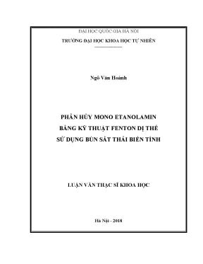 Luận văn thạc sĩ phân hủy mono etanolamin bằng kỹ thuật fenton dị thể sử dụng bùn sắt thải biến tính