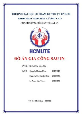 Đồ án gia công sau in hộp gạo mầm vibigaba