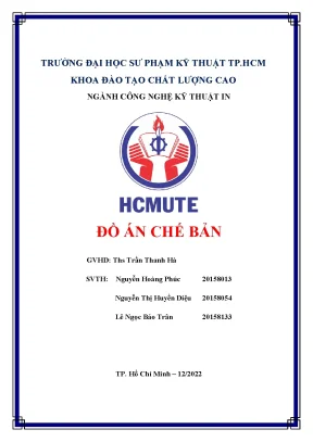 Đồ án chế bản bao bì hộp giấy gạo mầm vibigaba
